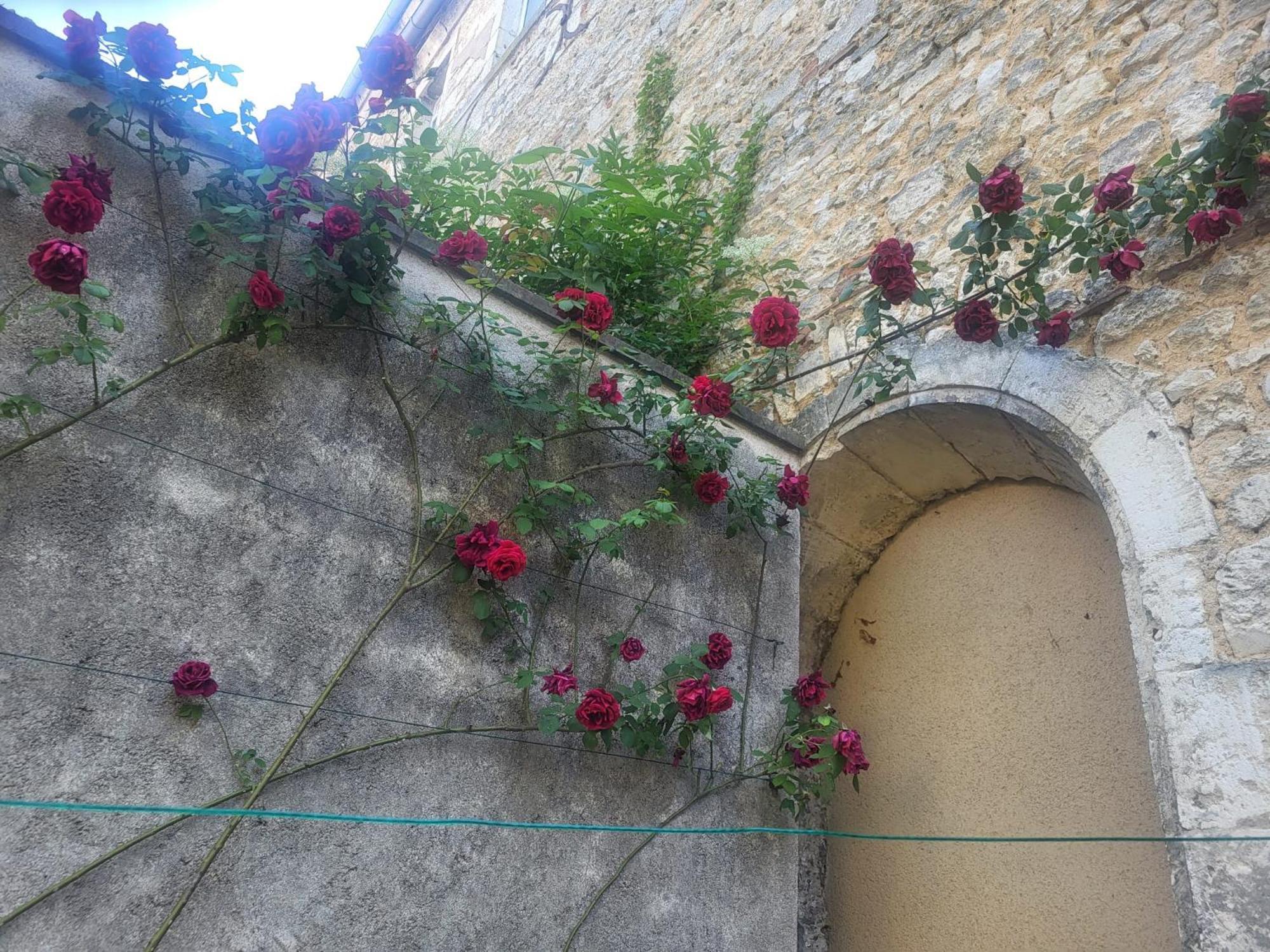 Au Puits De L'Abbaye Lägenhet Bourges Exteriör bild